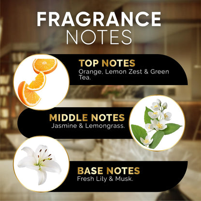 Luxury Hotel Diffuser Oil for Hotels and Homes - Aromatherapy Oils for use with an Essential Oil Diffuser at Home - Fragrance-Scent Diffuser Oil Blend (Winter Spruce) 4.05fl oz (120ml)