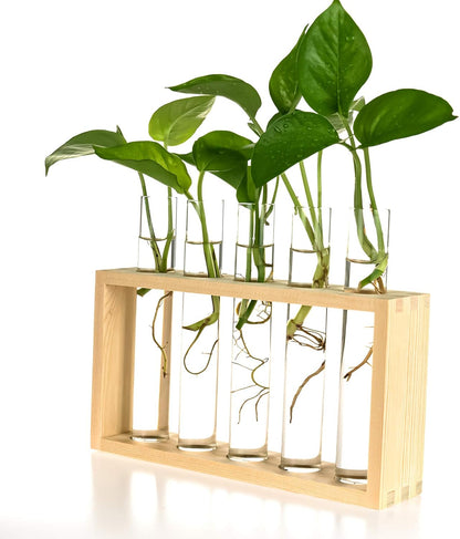 5 Kingbuy Wall Propagation Station with Test Tube Vases - Vintage Wood Stand Wall Hanging Planter for Plants, Tabletop