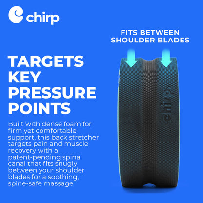 Chirp Wheel Foam Roller – Targeted Back & Neck Relief, Lumbar Spine Stretcher, Spinal Decompression Back Stretcher, Massage Roller with Density Foam for Physical Therapy, Supports 500lbs, 2-Inch Mint