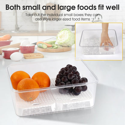 8 Compartment Snack Box with Ice Compartment, Leakproof Portable Cold Food Storage Container, Acrylic Airtight Food Tray for Long Haul Truckers Long Distance Drivers, Road Trip Car Cab Food Organizer