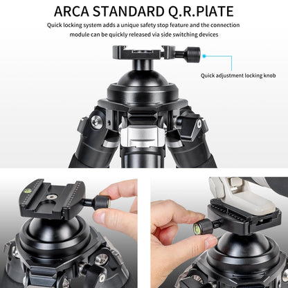 INNOREL P404C 72" Carbon Fiber Tripod for Hunting with Arca Swiss Dovetail Mount and 360° Ballhead(2.5"), 40mm Tube Tripods with Heavy Duty Construction for Photography and Outdoors, Load 88lb/40kg