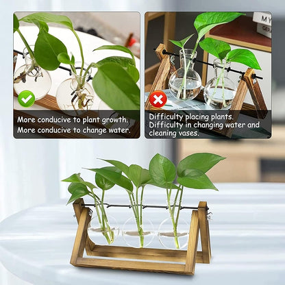 3 Bulb Kingbuy Desktop Glass Planter Iron and Wooden Stand Plant Terrariums for Indoor Office Desk Decor Accessories