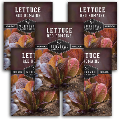 (5 Packs) Red Romaine Lettuce Seeds for Planting - Crisp Red Leaf Romaine Lettuce Seeds for Garden Growing, High Yield