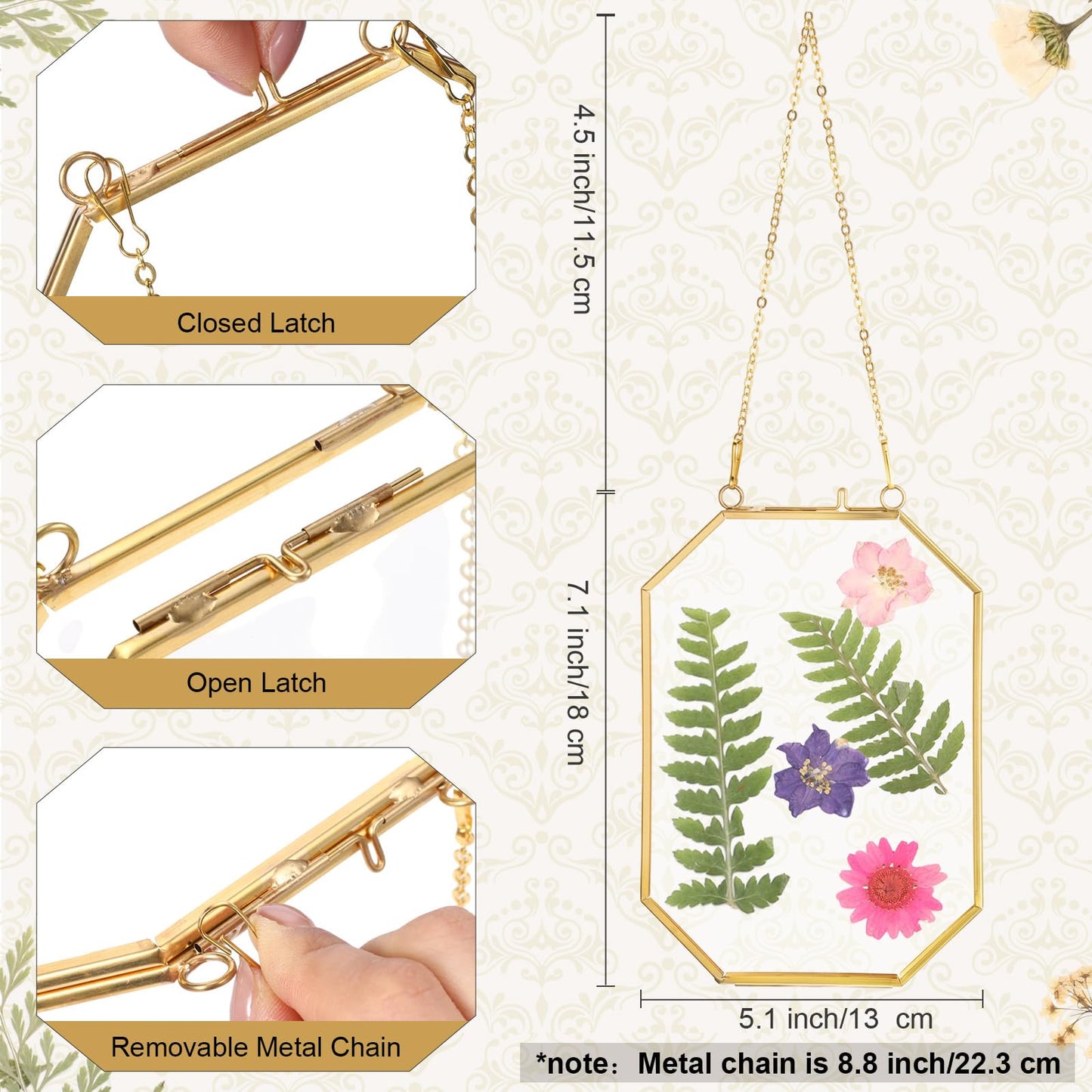 Vicenpal 6 Pcs 5 x 7 Inch Pressed Flower Frames Bulk, Floating Wall Hanging Double Glass Picture Frames with Metal Chain for Display Gallery Dried Plant Wedding Gifts for Mom Friends DIY Handy Craft