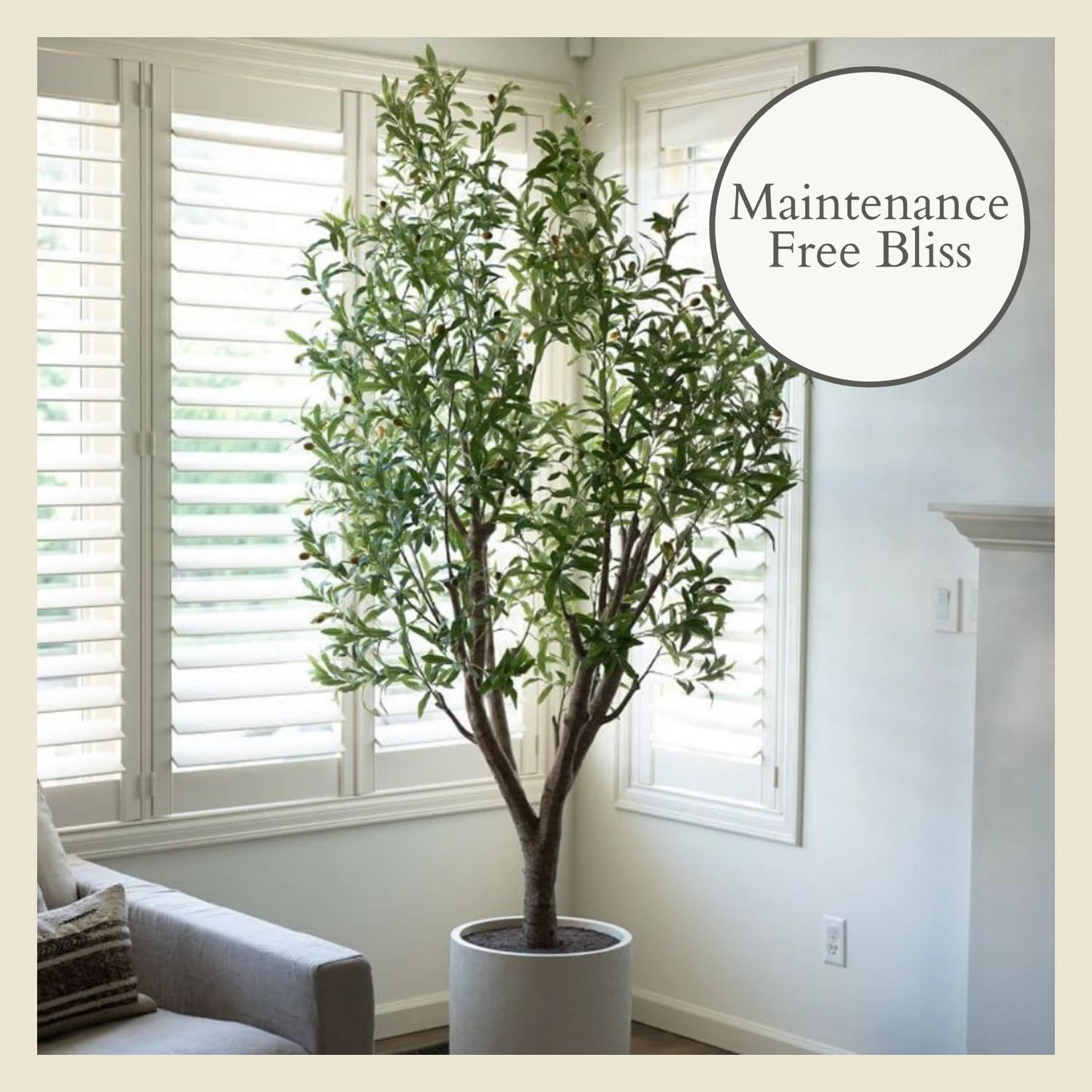 CG Hunter Faux Olive Tree, Premium Artificial Indoor & Outdoor Tree Stands 8' Tall, Lifelike-Leaves & Hand Painted Trunk, White Pot Included
