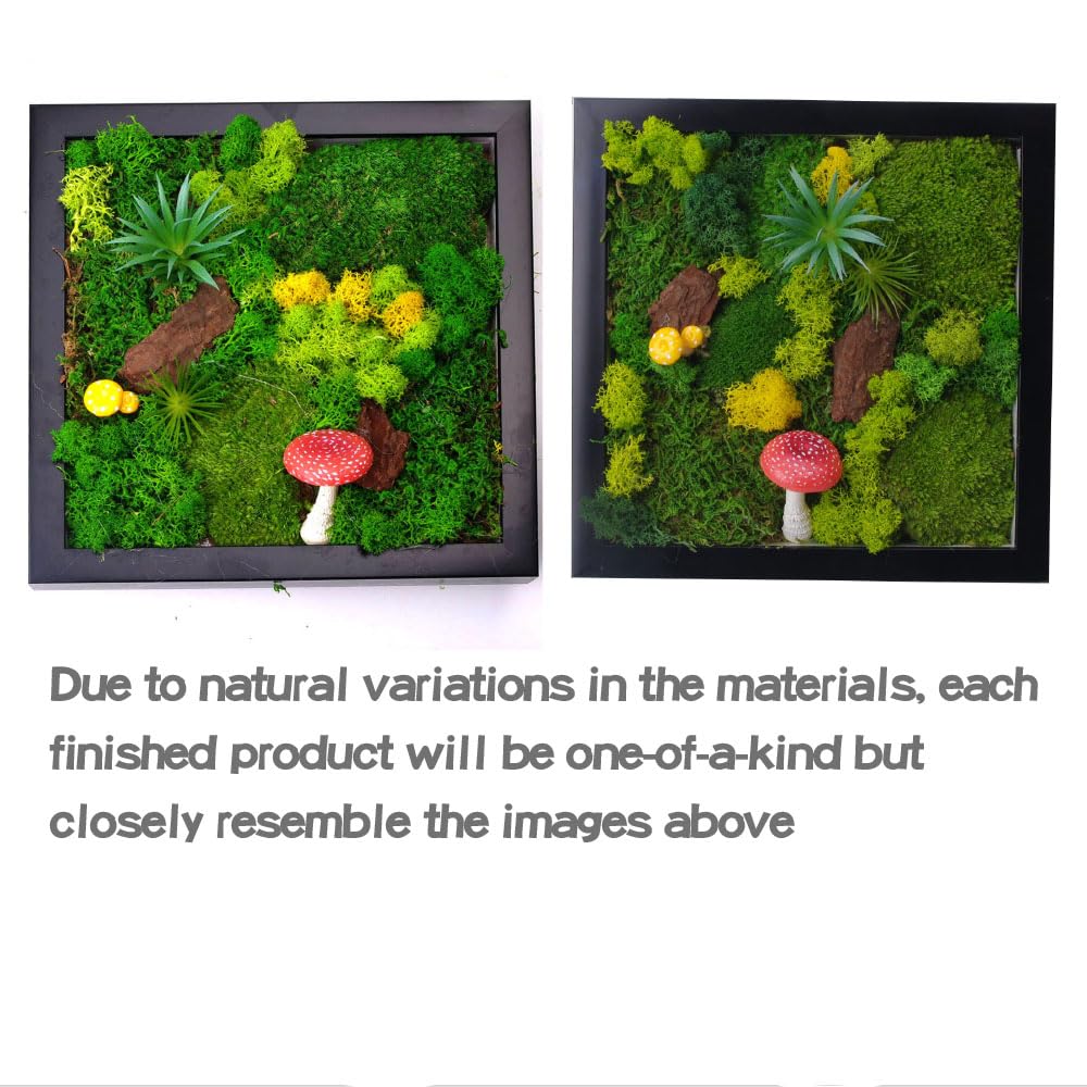 ACADOIT Moss ArtsFrame Crafts for Adults, 11" Home Office Decor Living Wall Hanging Decor