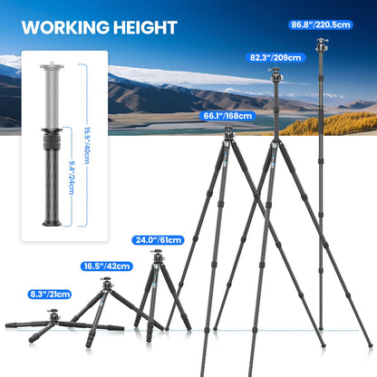 81'' Carbon Fiber Tripod for Camera WEYLLAN Heavy Duty Tripod Camera, 10-Layer Carbon Fiber Tube, 32.5mm Professional Tripod Leg with DSLR Ball Head for Camcorder Telephoto Lens, Max Load 20kg