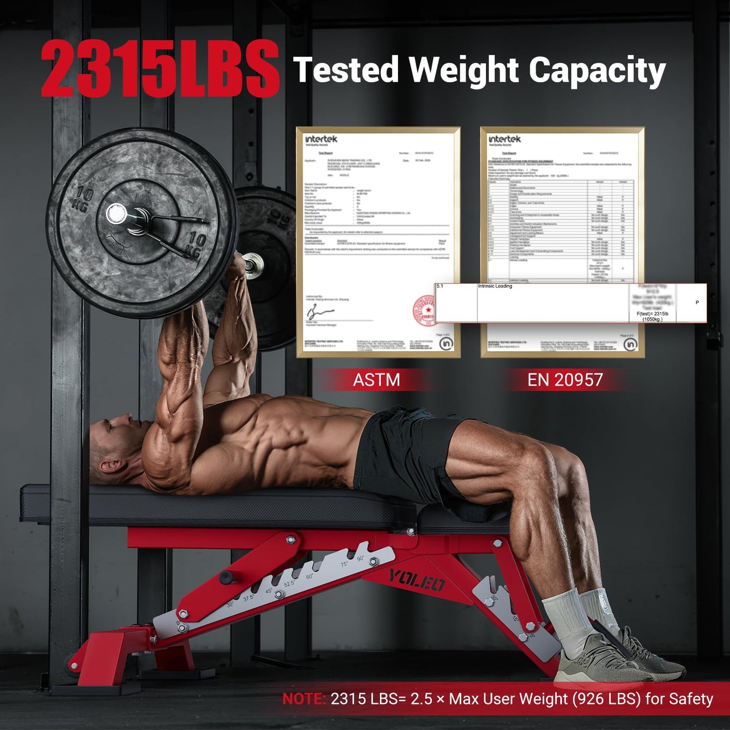YOLEO Commercial Adjustable Weight Bench - MAX 2300LBS Heavy Duty Workout Bench for Home Gym, Decline/Flat/Incline Bench Press 2.4" Thick Pad (6-Step Assembly) (Weight Bench + 2 Dumbbells)