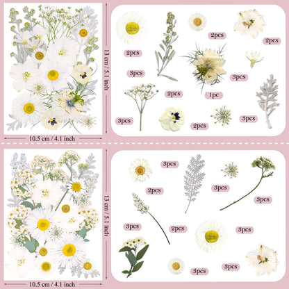 SUAUKEY 95 Pcs White Pressed Dried Flowers for Resin, Real Natural Bulk Dry Wildflowers Leaves Perfect for Epoxy Molds, DIY Crafts, Home Decor, Soap Candles Jewelry Making