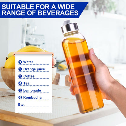 Duocesica 3 Packs Glass Water Bottles with Lid Clear Juice Bottles Reusable Bottle with Stainless Steel Cap Glass Cups Liquid Storage Containers for Juicing Beverage Refrigerator Travel-17oz