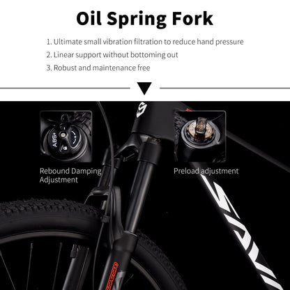 SAVADECK Carbon Fiber MTB with U6000 10 Speed Shift Groupset, Hydraulic Disc Brake with MT200 Break System (Rock Grey, 29 * 15.5)