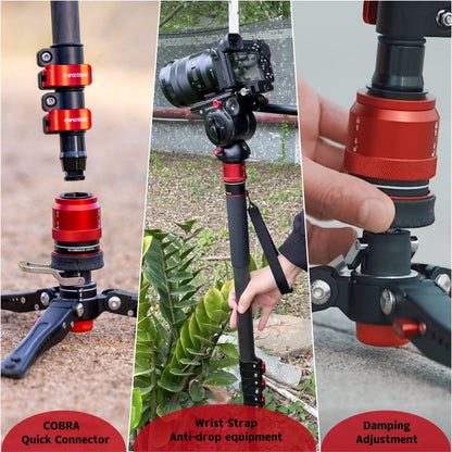 IFOOTAGE Cobra 3 Monopod with Fluid Head,Professional Portable Travel Monopod Set,71" Carbon Fiber Monopod for Cameras with Video Head, Compatible with Sony Canon Nikon Camera,C180F-P&Komodo K5S