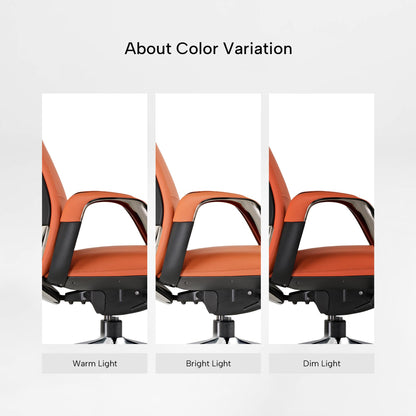 EUREKA ERGONOMIC Serene Executive Office Chair, Premium Nappa Leather High Back Boss Chair with Aluminum Base, Ergonomic Chair with Lumbar Support & Recline, Heavy Duty for Long-Hour Comfort, Orange