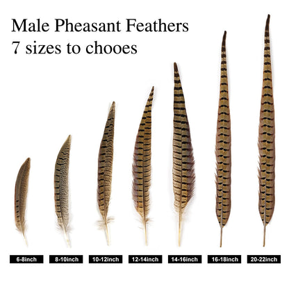 MAOFENG 12pcs Natural Feathers Male Ringneck Pheasant Tails Feathers 16-18inch 40-45cm for Crafts Wedding Party Performance Home DIY Decoration,Male Pheasant Feathers