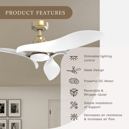 AEROFANTURE Gyro Ceiling Fans with Lights and Remote, 54 Inch Modern Bedroom Ceiling Fan with 3 Sculpted Blades, Reversible Ultra Quiet DC Motor, 3CCT Dimmable LED, 6 Speeds for Living Room Patio