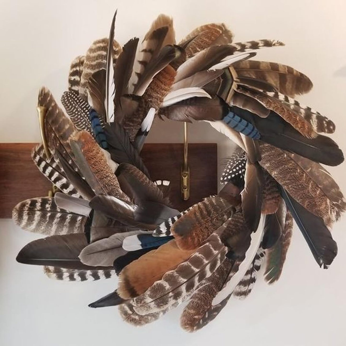 Daieeparty 12pcs Natural Color Wild Turkey Wing Feathers 12-14inch for DIY Crafts Home