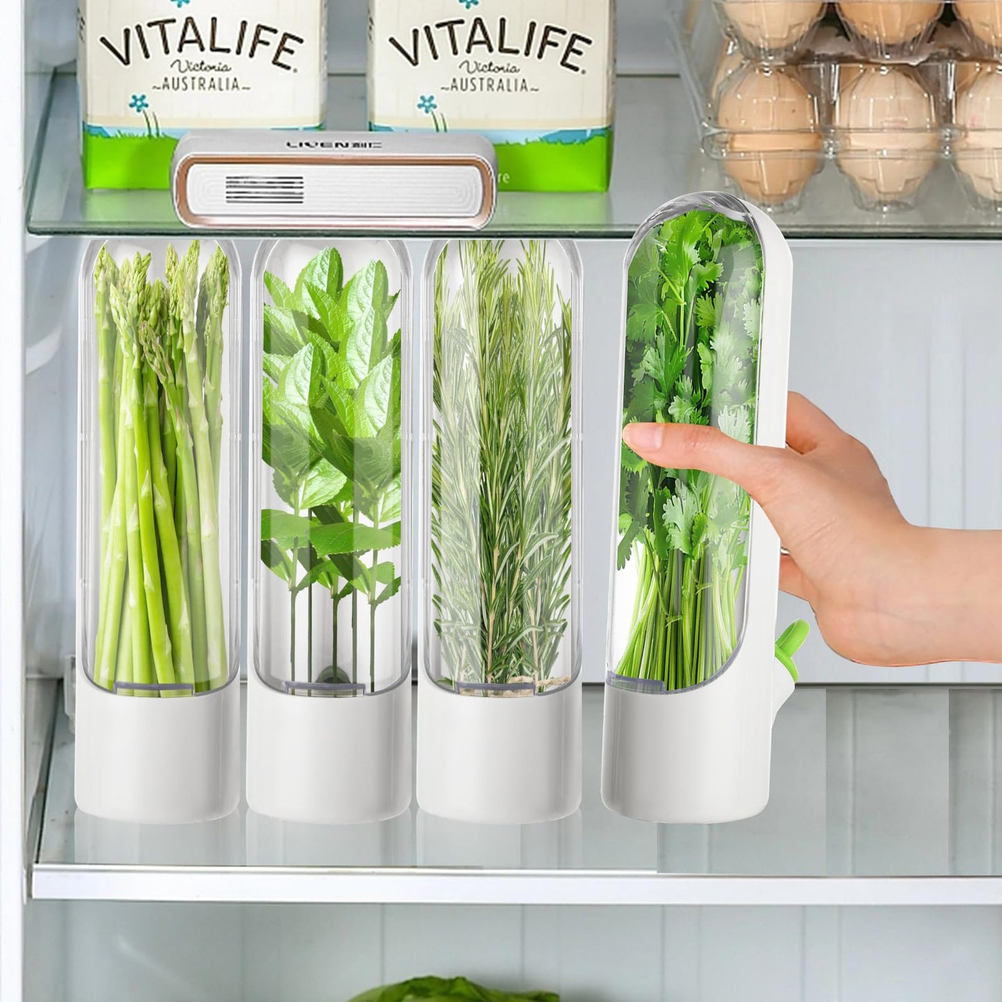 LDHHYH 4 PCS Fresh Herb Keeper for Refrigerator, Herb Saver for Refrigerator, Cilantro Containers for Fridge, Herb Storage Containers for Cilantro Asparagus Mint Rosemary Parsley Basil for 2-3 Weeks