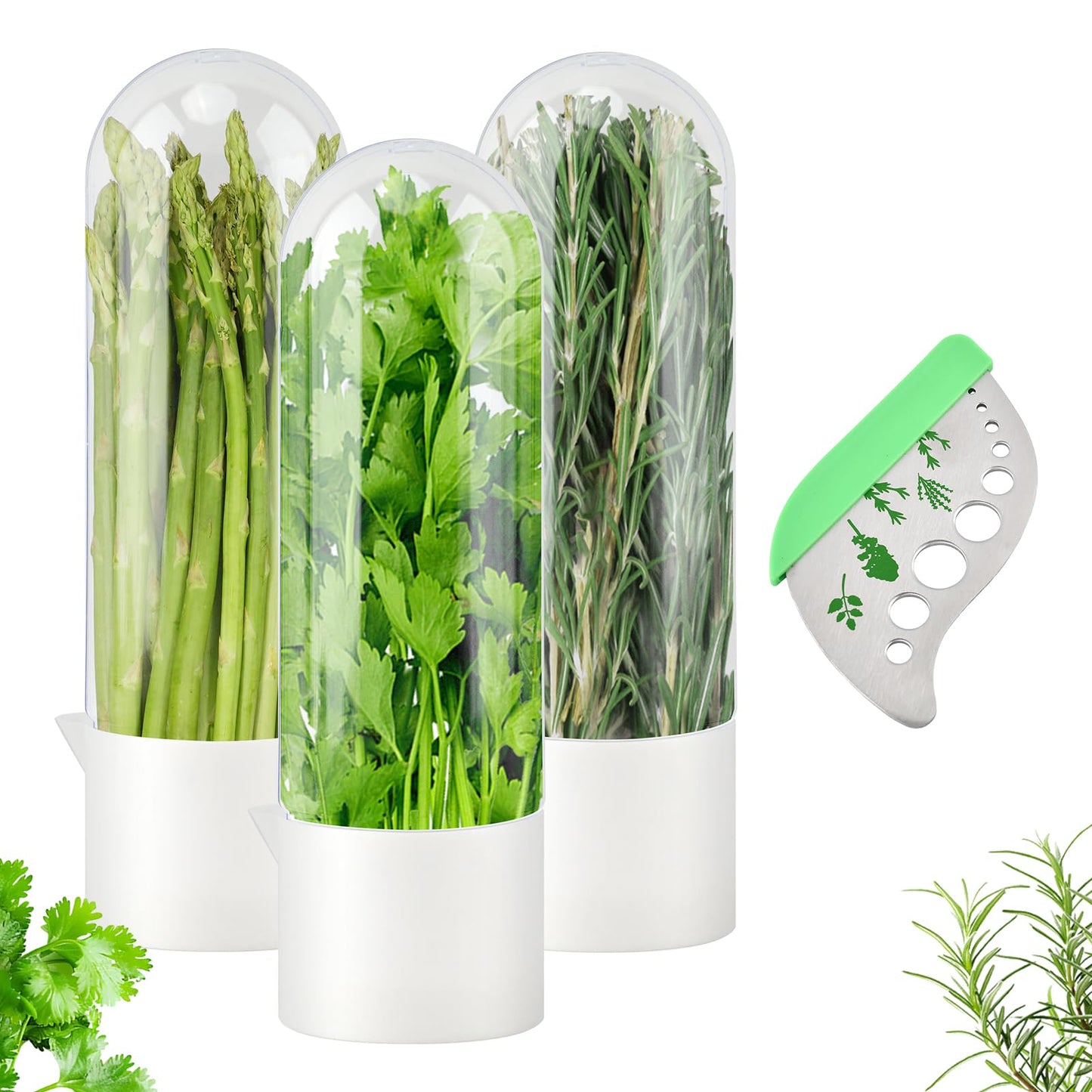 Cramelith 3PCS Herb Keeper for Refrigerator + Herb Stripper, Cilantro Container for Fridge, Vegetable Preservation Bottle for Cilantro, Mint, Keeps Greens Fresh for 2-3 Weeks