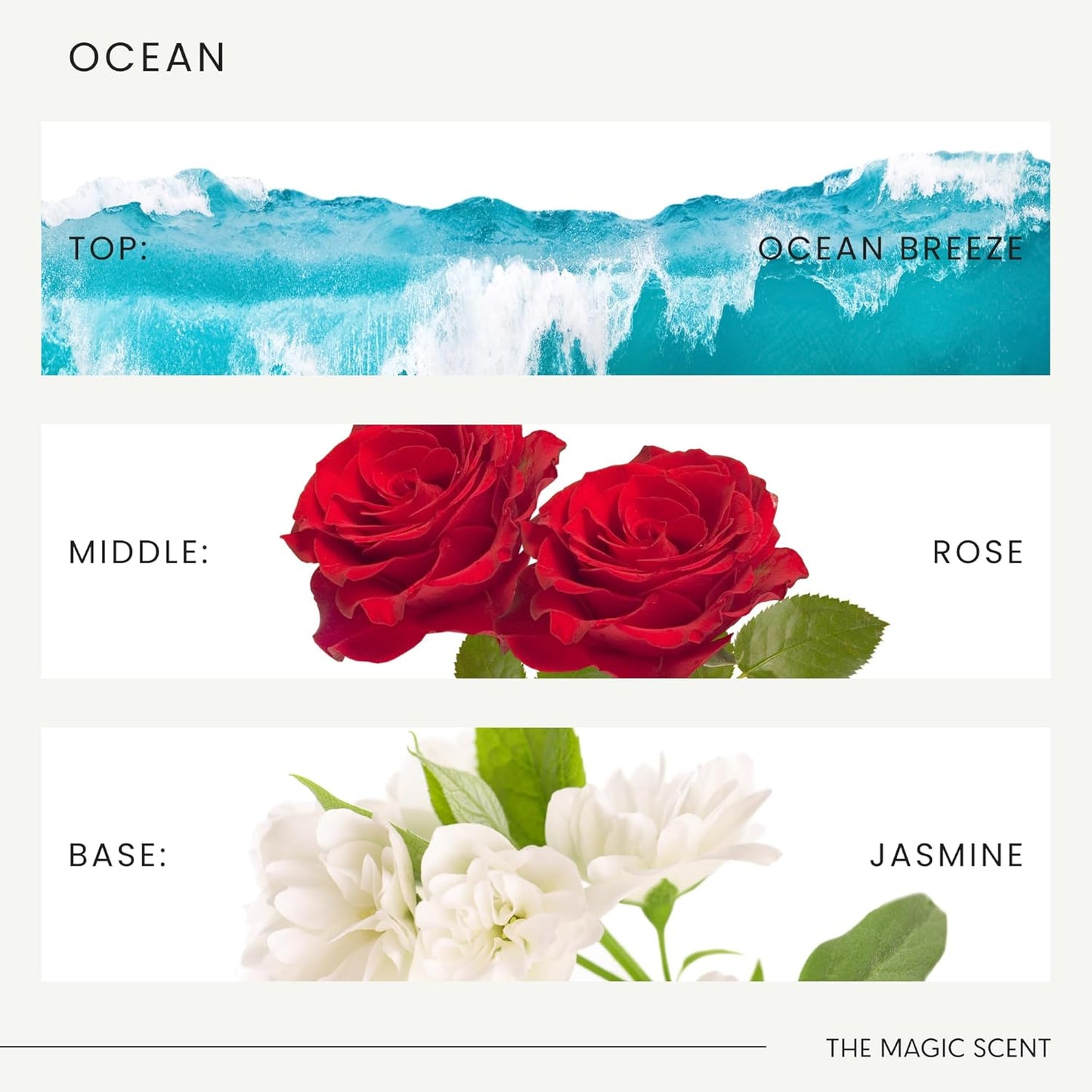 The Magic Scent Mandarin Blossom Diffuser Oil - Cold-Air & Ultrasonic Scented Oils for Diffuser Inspired by St. Regis Hotel, Maldives - Essentiala Oils for Diffusers Aromatherapy 10 ml
