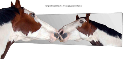 Marketing Holders 6 Pack Acrylic Mirror Sheet 12" x 48" Reflective Frameless Lucite Tile Lightweight Display with Rounded Corners for Buddy Sour Horses Chicken Coops Nurseries and Daycares