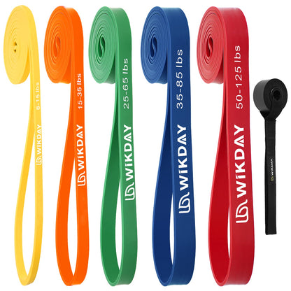 Resistance Bands, Pull Up Bands, Workout Bands for Exercise, Thick Heavy Resistance Band Set with Door Anchor, Elastic Bands for Body Stretching, Crossfit Training at Home/Gym Men & Women Women