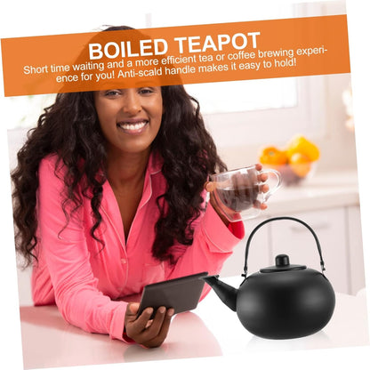 Cast Iron Tea Kettle with Metal Coffee Filter, Heating Teakettle for Gas Stove, Stainless Steel Field, Make Tea