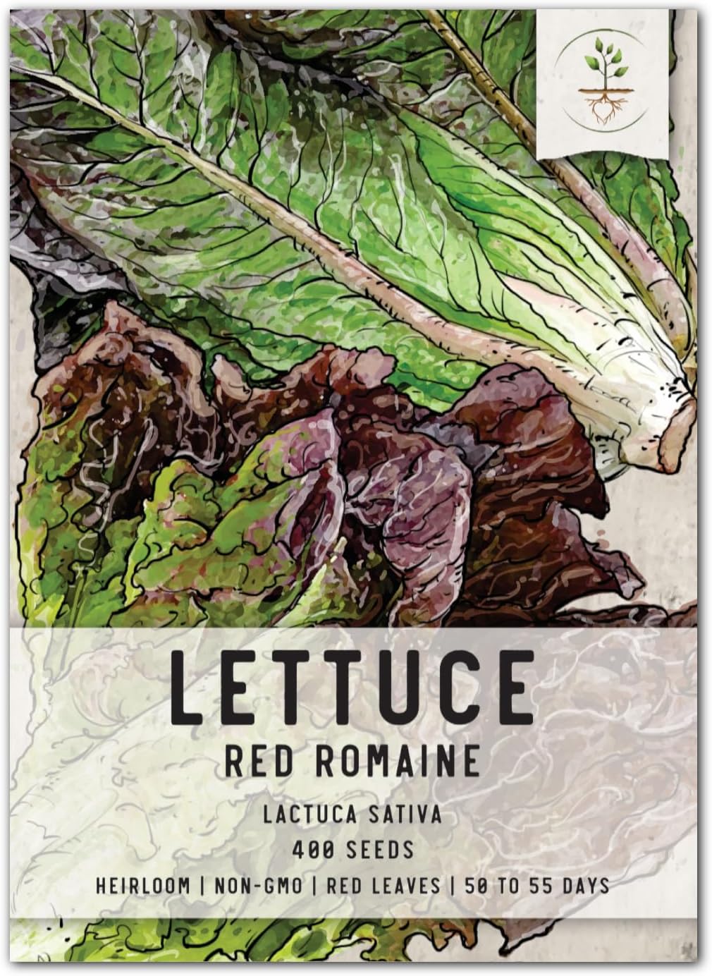 400 (1 Pack) Seed Needs, Red Romaine Lettuce Seeds - Heirloom Seeds for Planting Lactuca Sativa - Non-GMO & Untreated