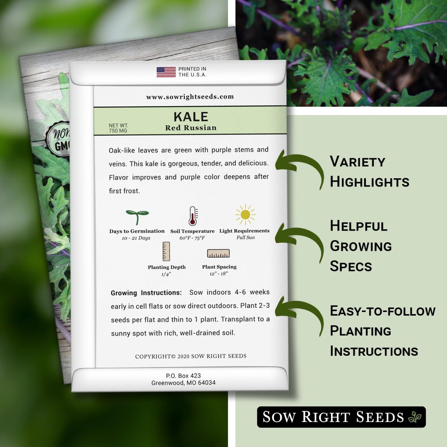 Packet (2) Sow Right Seeds - Red Russian Kale Seeds for Planting - Non-GMO Heirloom with Instructions to Plant a Home