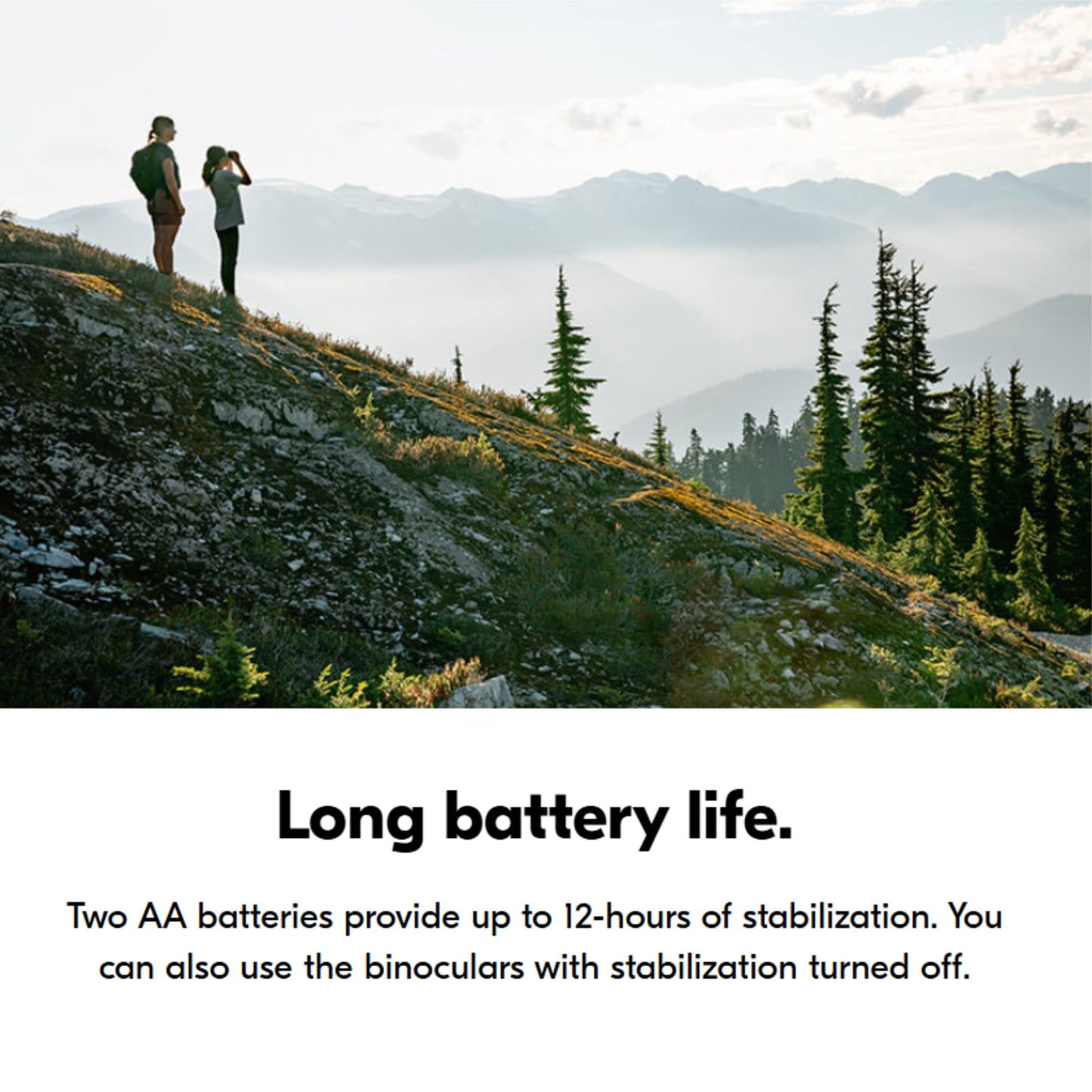 Nikon STABILIZED Binoculars 10x25 S, Image Stabilized Binoculars for Sports, Outdoors, & Wildlife, Compact, Bundle with a Nikon Lens Pen & Cleaning Cloth