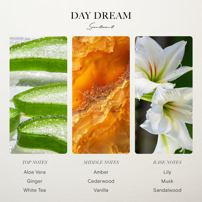 Scentiment Hotel Diffuser Oil Discovery Kit | Inspired by Elite Five Star & Luxury Hotel Scents | Aromatherapy Oils with Notes of Cardamom, Tuscan Leather, and Sandalwood (20ml, Top 5 Scents)