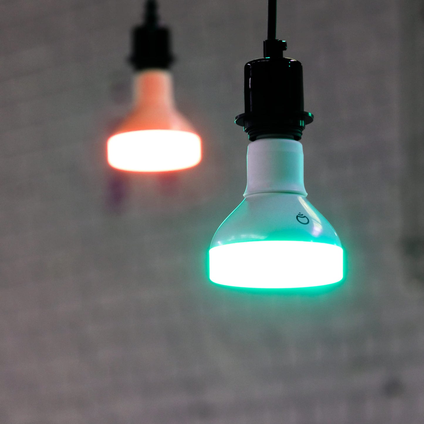 BR30 Smart Light