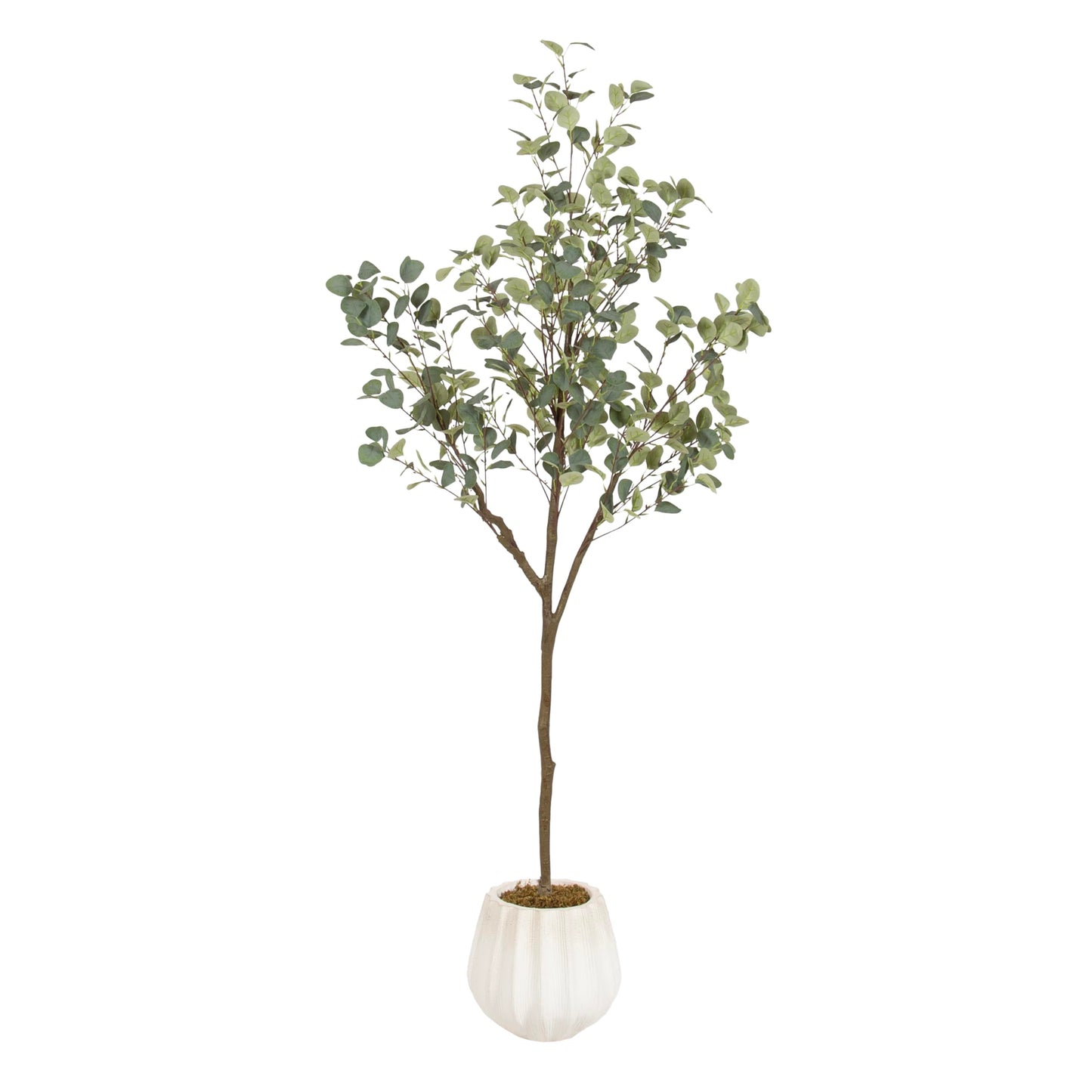 Kate and Laurel Eudora Faux Eucalyptus Tree with Claudel Scalloped Planter Pot, 6 FT, White, Potted Artificial Tree Indoor with Realistic Foliage and Added Moss, Fake Plant for Living Room Decor