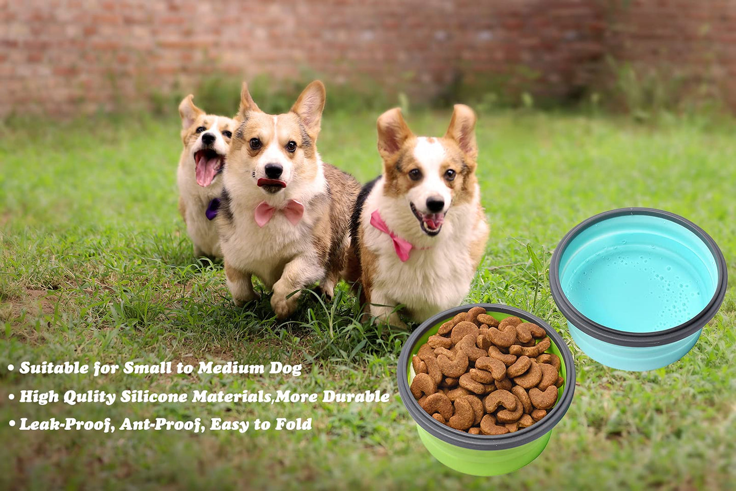Large Collapsible 40 OZ Travel Dog Bowls, 2 Pack with Lids, Foldable Silicone Food & Water Bowl for Large Dogs, Lightweight & Leak Proof, Perfect for Outdoor Travel, Camping & Hiking