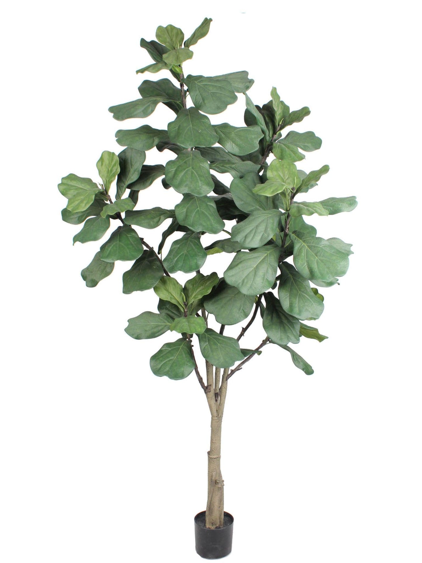 Larksilk 6FT Fiddle Leaf Fig - Elegant Artificial Ficus Plant, Perfect for Modern Home or Office Decor - Lifelike & Evergreen
