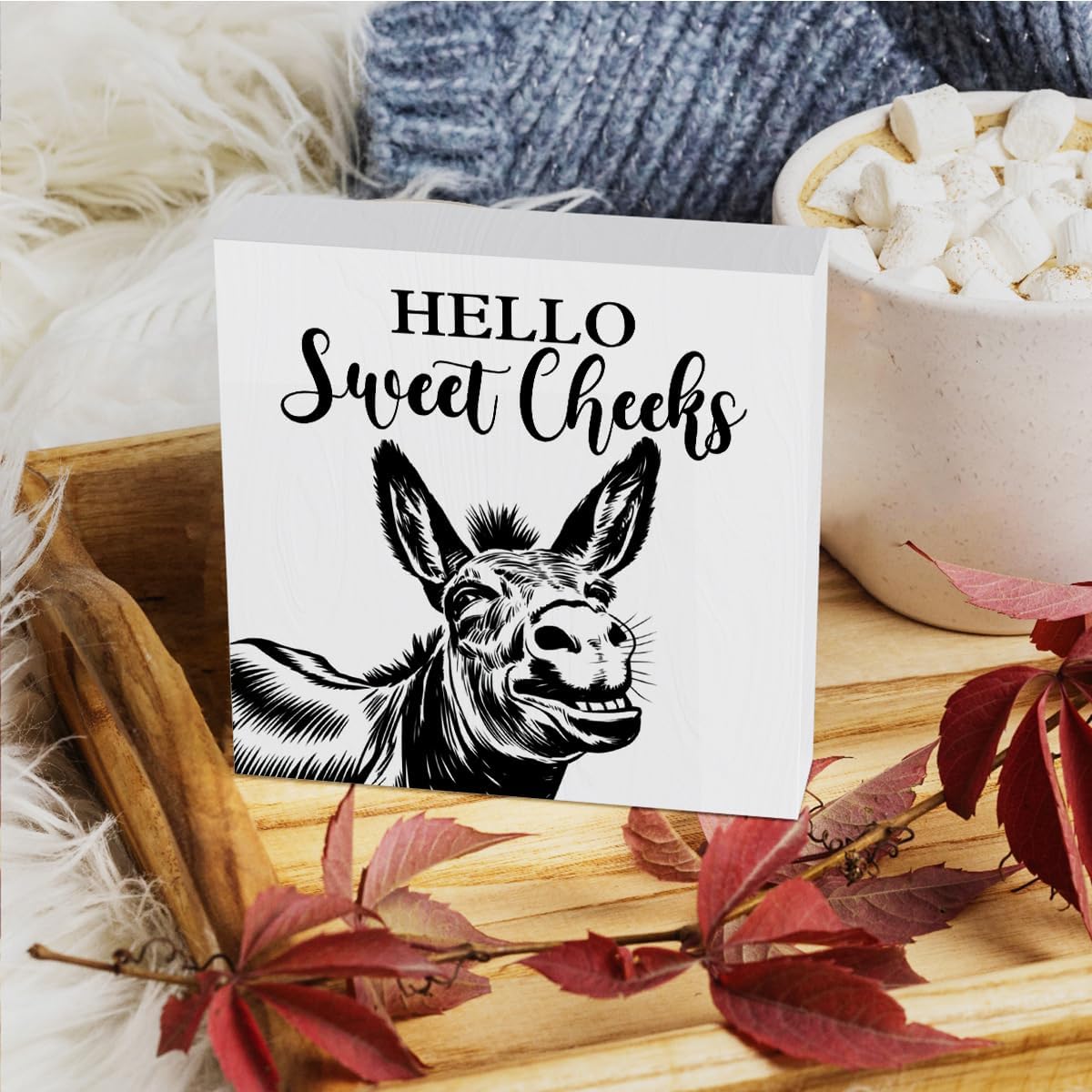 HTBIG 5 5 Inch Funny Donkey Bathroom Wooden Box Decor Hello Sweet Cheeks Wooden Box Logo Put It on a Bathroom Corner