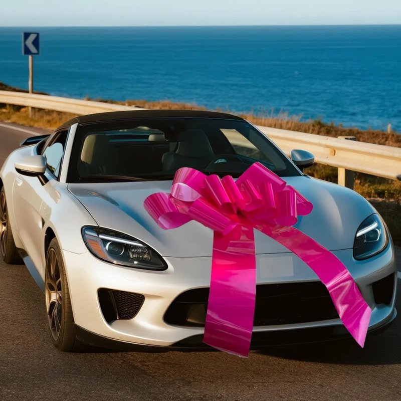 Ailuka Big Pink Car Bow (30 Inch, 1 Pack)- Giant Gift Bow for Car, Large Pink Bow for Appliances, Bike, New House, Huge Bow for Birthday, Graduation, Christmas, Party.