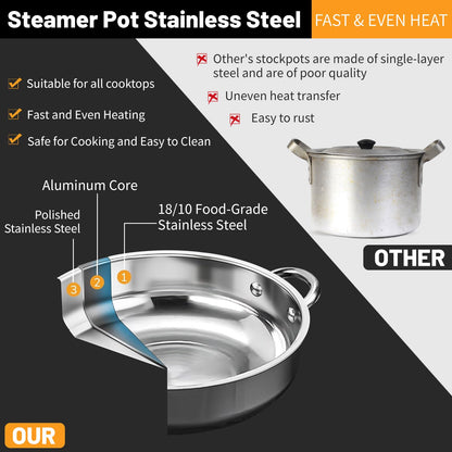 2-Tier 28cm 304 Stainless Steel Steamer Pot with Glass Lid,for Dumplings, Seafood, Veggie Stews & Homemade Soups