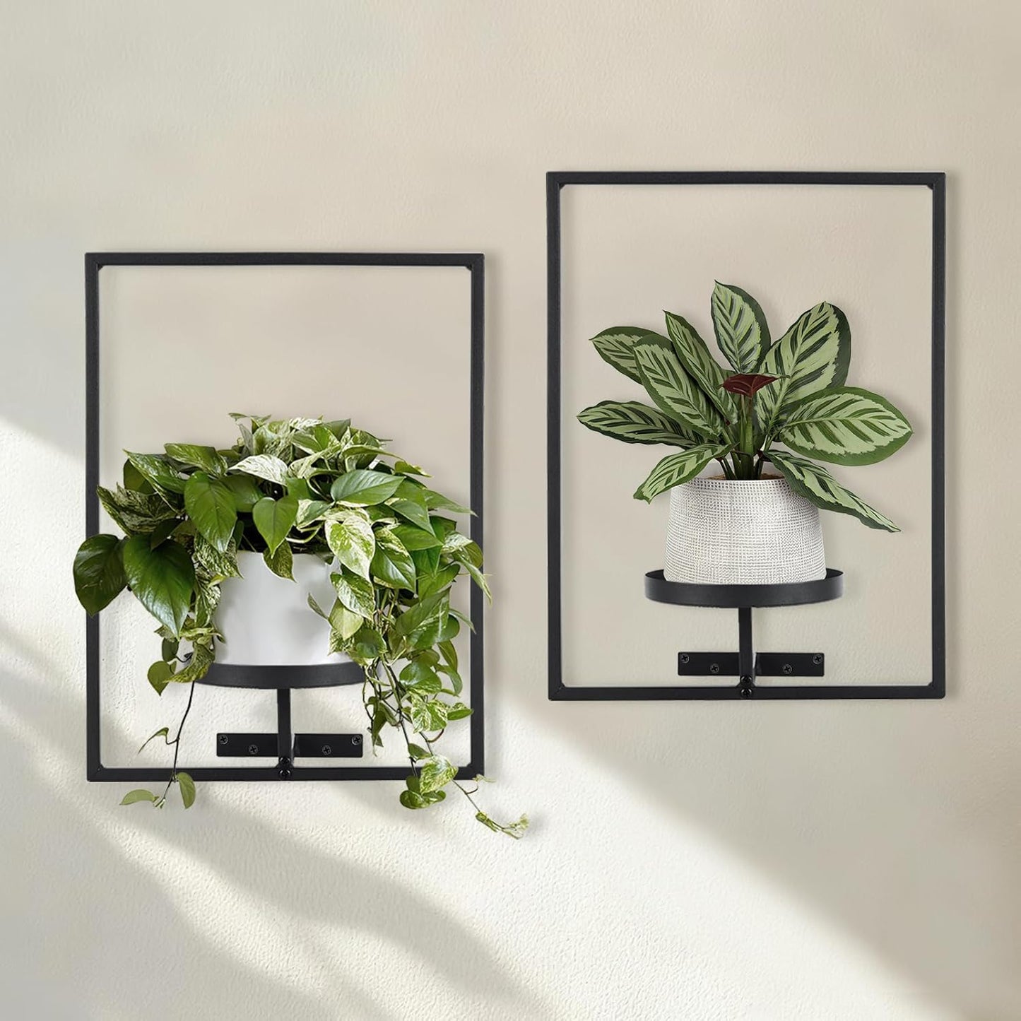 2-pack) Sisher Plant Stand Indoor Outdoor,Window Plant Shelf Picture Frame Wall Plant Stand Metal Wall Plant Shelf Ease