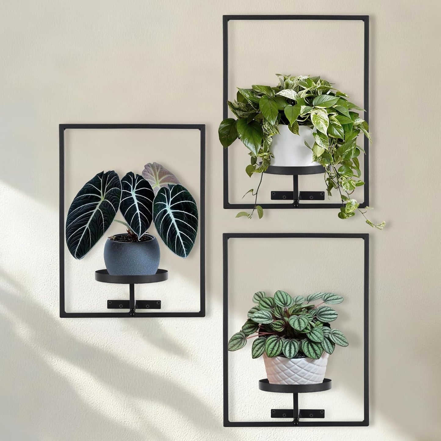 3-pack) Sisher Plant Stand Indoor Outdoor,Window Plant Shelf Picture Frame Wall Plant Stand Metal Wall Plant Shelf Ease
