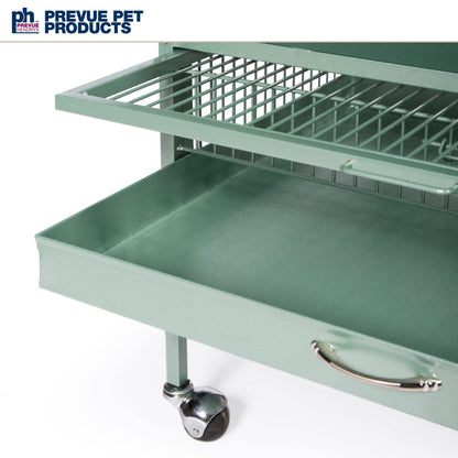 Prevue Pet Products Wrought Iron Select Bird Cage - Large Steel Cage with Rolling Stand, Seed Guards, and Playtop, Durable Design, Ideal for Conures and Medium Birds - Sage Green