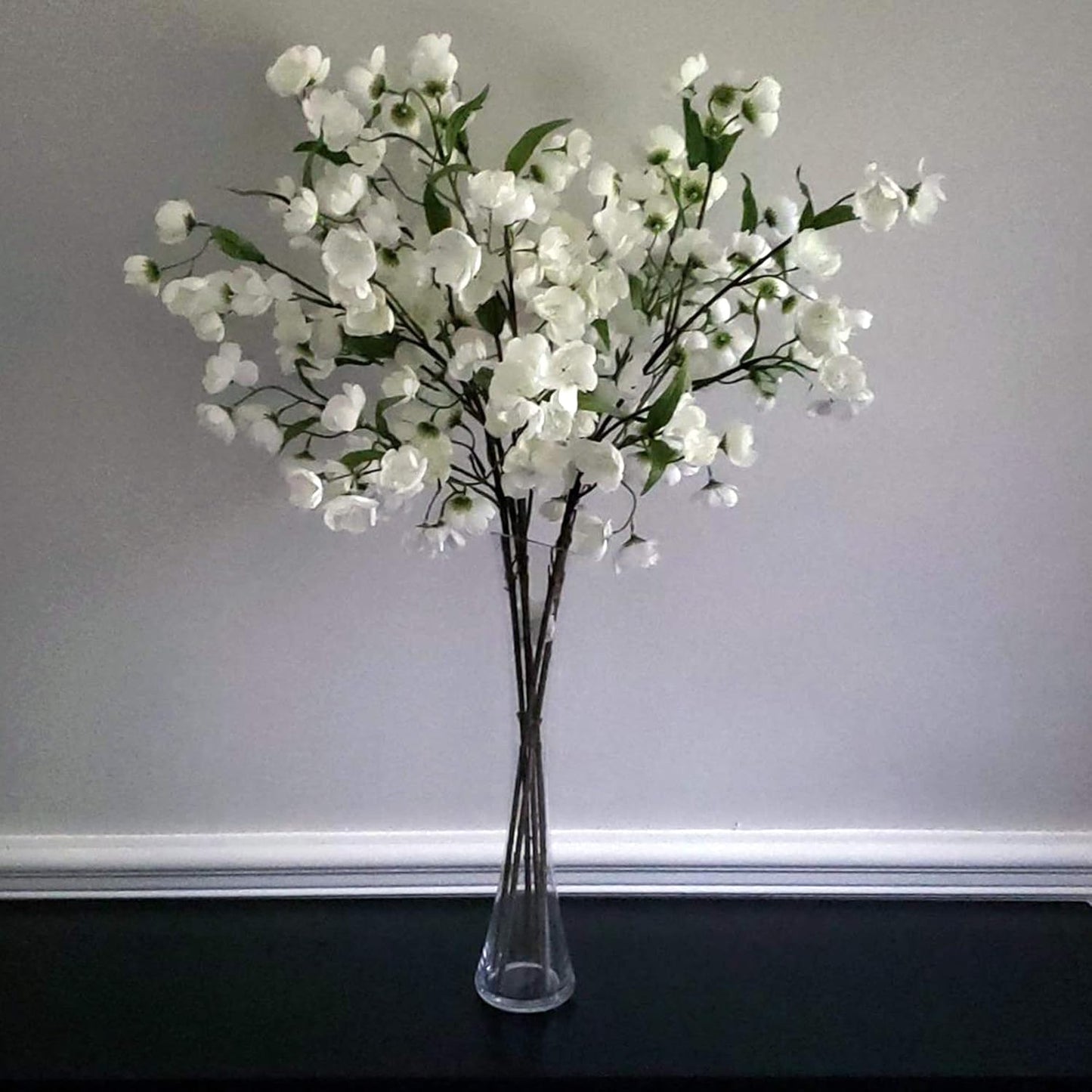 WGV Maria Bud Vase, 2" Width, 10" Height, Clear Slant Cut Opening Glass Floral Container for Decor