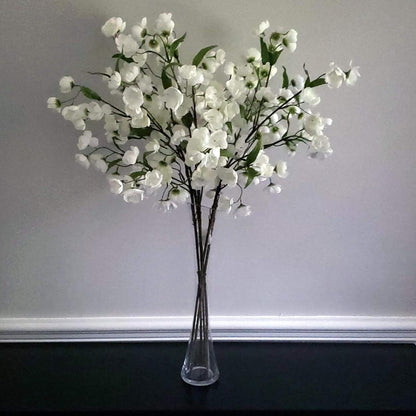 WGV Maria Bud Vase, 2" Width, 10" Height, Clear Slant Cut Opening Glass Floral Container for Decor