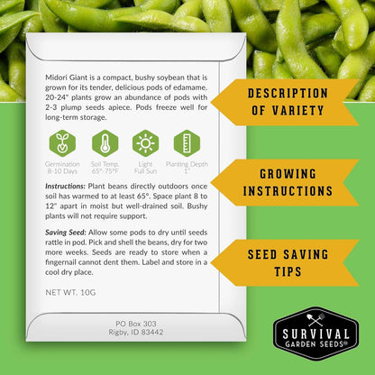 (3 Packs) Midori Giant Soybean Seeds for Planting - Grow Protein-Rich Edamame Pods in Your Home Vegetable Garden