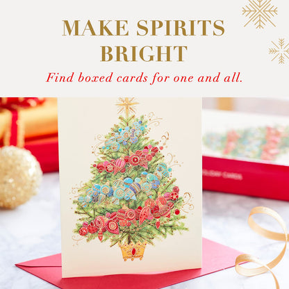 Papyrus Boxed Christmas Cards with Envelopes, Wishes of the Season, Citrus Wreath (14-Count)