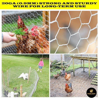 12 100 1 20GA 12 100) Chicken Wire in x FT x Mesh x | Poultry Wire Netting | Hot Dipped Galvanised | Hexagonal
