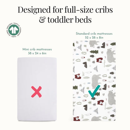 Evolur Grizzly Bear 3 Piece Toddler Bedding Set, Super Soft and Breathable Toddler Bedding, Machine Washable, Includes Fitted Sheet, Comforter and Pillow Case