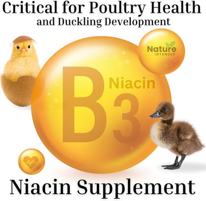 Brewer's Yeast Probiotics Supplement - Enhance Egg Quality & Recovery for Poultry | 10-Ounce Pouch