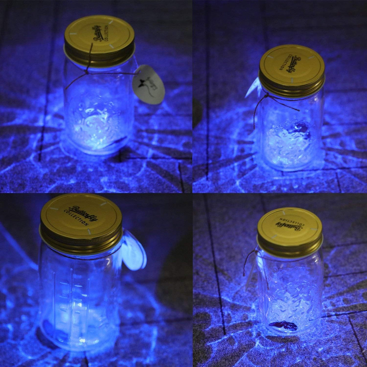 Glass Animated Butterfly in a Jar with LED Light - Gift Decoration (Blue)