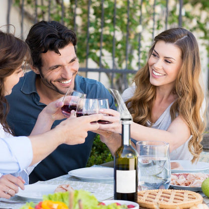 Premium Wine Aerator Spout for Enhanced Flavor