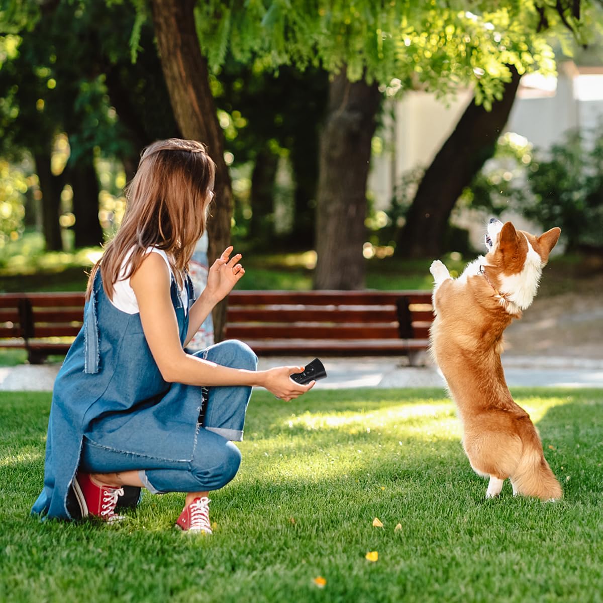 QZC Super Ultrasonic Dog Chaser,Training Dog Banish Dog Machine,Stop Animals Attacks Aggression